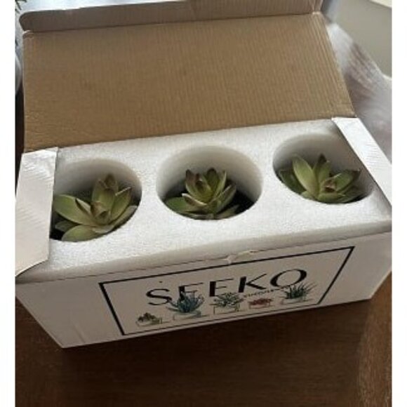 New Succulents Artificial Succulents in Ceramic Pots (3 Set) Realistic & Beautif - Picture 2 of 3